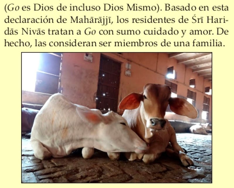 go-terneros en sri haridas nivas