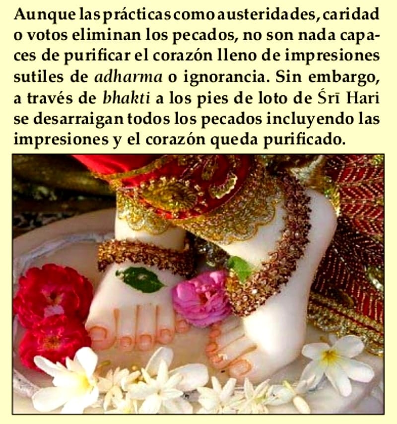 los pies de loto de sri krishna