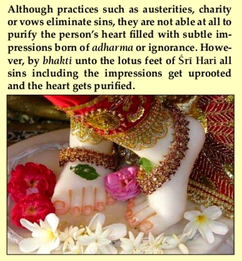 lotus feet of sri krishna