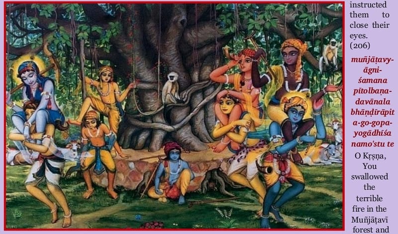 krishna playing with friends